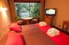 Hotel Y Termas Huife