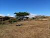 Agroturismo Mountain Oasis Farm Stay