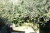 Dilijan Family House