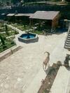 Hotel Dzorak