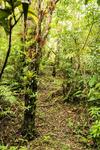 Lodge Jilguero Cabins & Tours