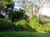 Apartamento Cabinas Windsong
