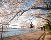 Apartamento Stunning Dc Home W/ Rooftop Pool - Ideal Location!