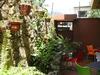 Guacamaya Inn B&B
