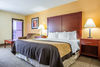 Hotel Comfort Inn Richburg