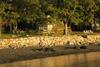 Acadia Ocean Front Garden Cottages