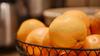 Hotel Best Western Crystal River Resort