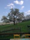 Hostal Etno Guest House Brestovi & Vizija