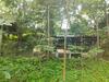 Agroturismo Alaske Kolibe
