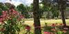 Posada Spruce Hill Inn & Cottages