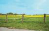 Holiday Home Krutbodensv. Ystad