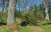 Three-bedroom Holiday Home In Norrtalje