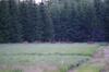 Bed & Breakfast K�s�tter G�rd