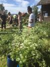 Albergue Mora Vandrarhem Och G�sthem