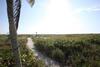 Tropical Winds Beachfront Motel And Cottages