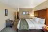 Hotel Comfort Inn University