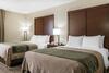 Hotel Comfort Inn - Pocono Mountain