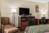 Hotel Comfort Inn - Pocono Mountain