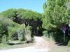 Apartments In Eraclea Mare 25693