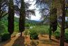 Figline Valdarno Apartment Sleeps 5