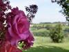 Tranquil Home In Foiano Della Chiana With Terrace