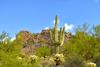 Hotel Gold Canyon Golf Resort