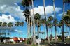 Hotel Victoria Palms Inn And Suites