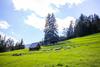 Agroturismo U Dobr�ho Pastiera