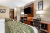 Hotel Comfort Inn & Suites Dimondale