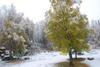 Daniels Lake Lodge Cabins