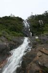 Hotel Spicetree Munnar