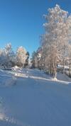 Bed & Breakfast Kyykerin Kartano