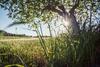 Agroturismo S'hort Des Convent