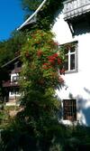 Hostal Bilz-pension