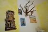 Bed & Breakfast La Pavoncella