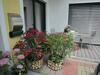 Bed & Breakfast Fr�hst�ckspension Kibler