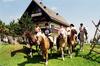 Hotel Sportgasthof Lipp