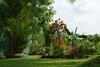 Hostal Lanka Rose Guest House