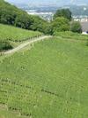 Bed & Breakfast Fr�hst�ckspension Liebmann