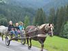 Holiday Home Oberau Huttauniedernfritz