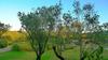 R�sidence Maora Village