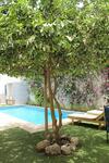 Hotel Casa Mara Guest House