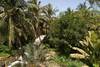 Hotel Savana Dakar