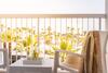 Hotel Papantonia Apts