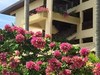 Hotel Palm Beach Resort & Spa