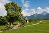 Apartamento Ferienhaus Hollinger