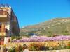 Apartamento Golden Sun Petrina