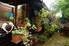 Apartamentos Bradclin House