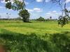 Ambawatta Holiday Homes