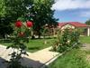 Gabala Dreams